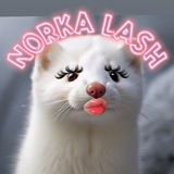 Ресницы Мариуполь | Norka🪄