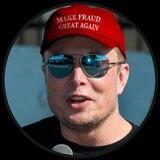 Elon Wif Hat - Portal