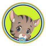 Baby Cat 🐱