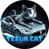 Tesla Cat