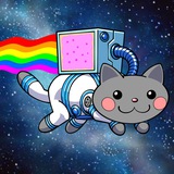 Nyan Cat On SOL