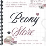 peónyy store's — OPEN