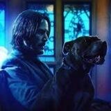John Wick's Dog | $Keanu Inu