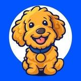OLLIE - Coinbase Director's Dog
