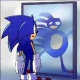 SANIC | PORTAL
