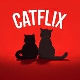 Catflix CTO
