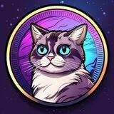 SillyCat Portal