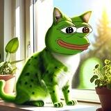 Pepe Cat | I'M $PAT 🐱🐸 (CTO)