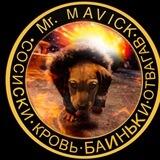 Mr. Mavic