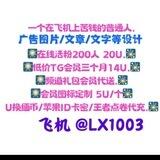 LX老店铺/飞机会员/图标/账号