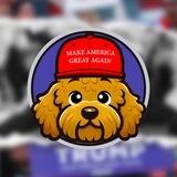 $PATTON - TRUMP'S FIRST DOG