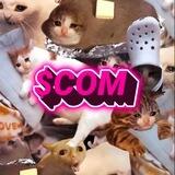Cat Of Memes Portal