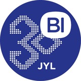 BI Group