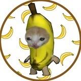 Banana Cat | Portal | 0/0 - Burnt LP