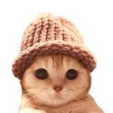 catwifhat - $CWIF