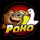$POHO | PONKE vs HONK