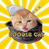 Noodle Cat on Solana 0/0 TAX