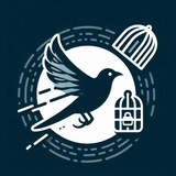 Raha VPN | رها وی‌پی‌ان