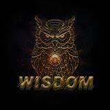 💬Wisdom #OwlMeme Token Official Community (3 tweets by Elon Musk on Wisdom, check pinned)