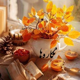 نگاره ها