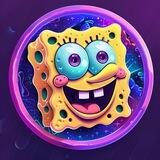 SolSponge Portal