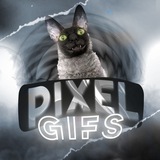 Pixel | GIFS 🍁