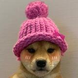 Dogawifhat - WIF's $WIFE