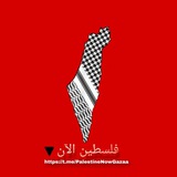 فلسطين الان🔻