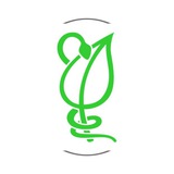 پادکست هایجیا