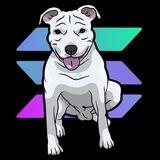 $WINTER Portal - Drake's Dog