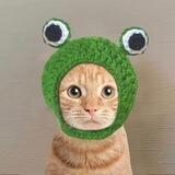 CatWifPepe l SOL