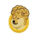 SmartDOGE