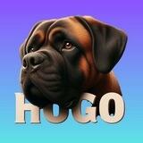 (Official) Conor McGregor's Dog $HUGO | Community Takeover | LP BURNED 🐶🔥