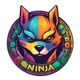 Anima Ninja Sol