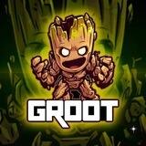 Groot Portal