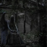 - Cэмпай ⌖