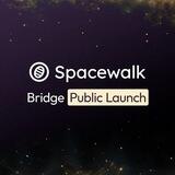 Pendulum | X | Spacewalk Stellar