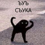 Real Mad Cat (ЪУЪ) - Portal