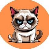 GRUMPYCAT - SOL