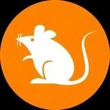 rats符文社区