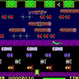 $FROGGER by Matt Furie OG