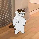 $Mochi Ton