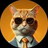 CAT CEO - Official Community