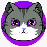 Solana Cat