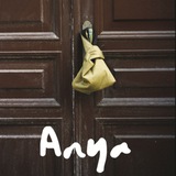 Anya node