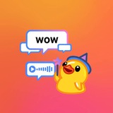 Premium Service Chat
