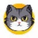 CatCoin Ton Meme