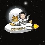 DOGE-1 Moon Mission - Portal