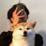 薄情工作室🌕
