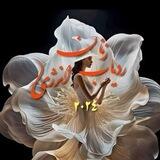 زنان ردیاب انرژی 2024
